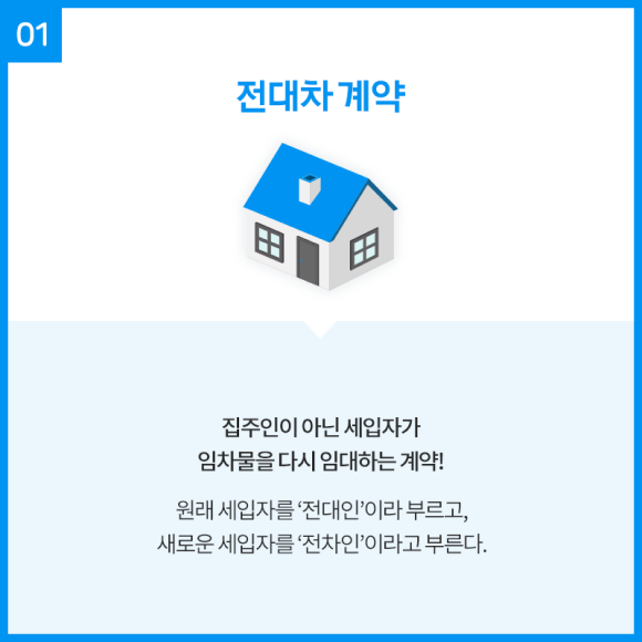카드뉴스