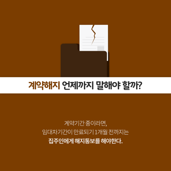 카드뉴스