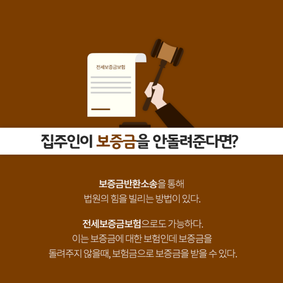 카드뉴스