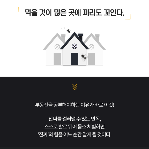 카드뉴스