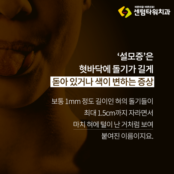 카드뉴스