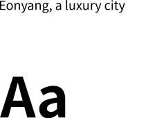 Noto Sans KR 폰트