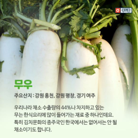 카드뉴스
