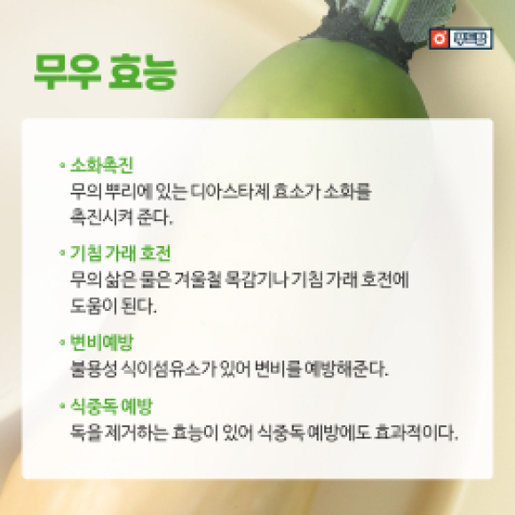카드뉴스