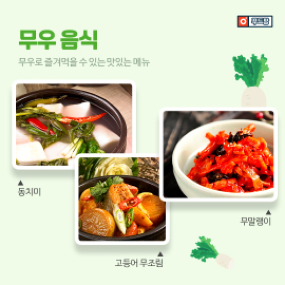 카드뉴스
