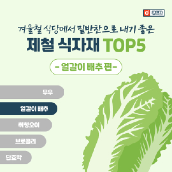 카드뉴스