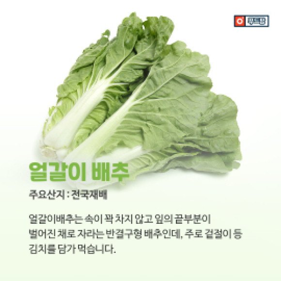 카드뉴스