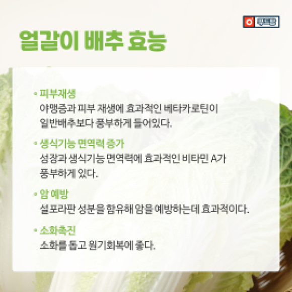 카드뉴스