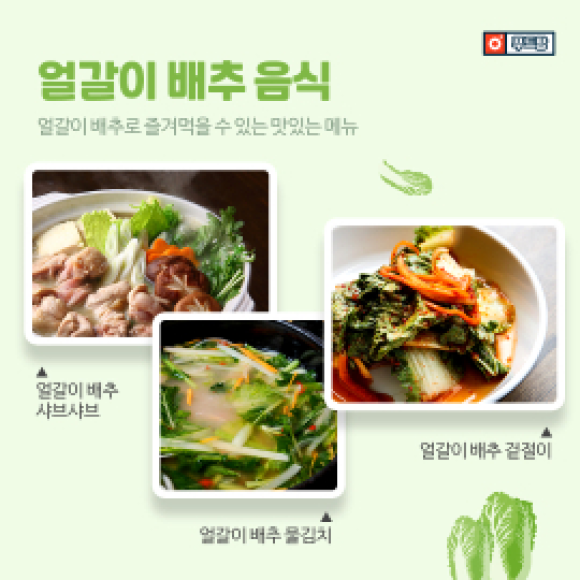카드뉴스