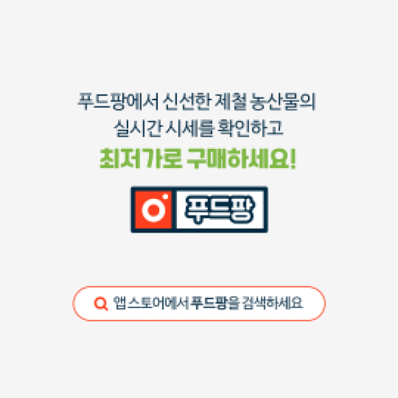 카드뉴스