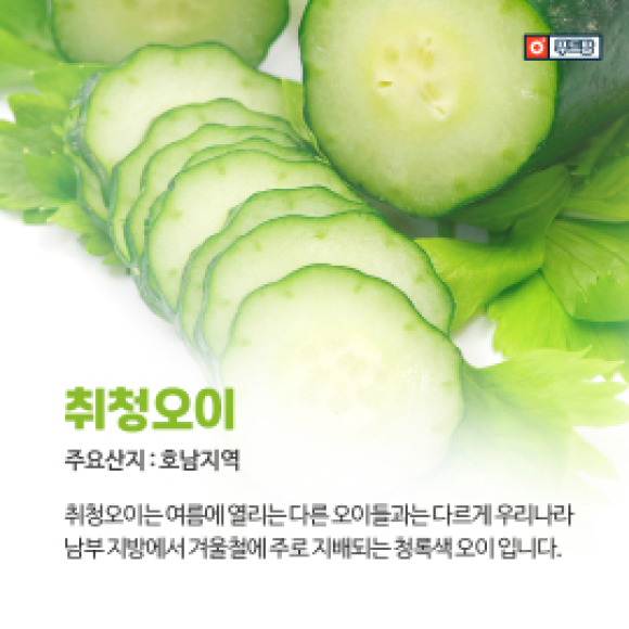 카드뉴스
