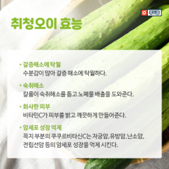 카드뉴스