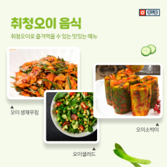카드뉴스