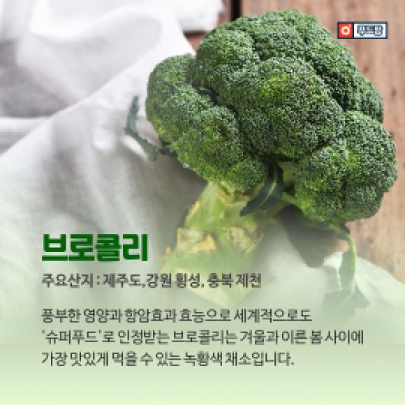 카드뉴스