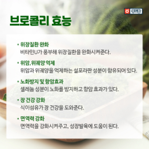 카드뉴스