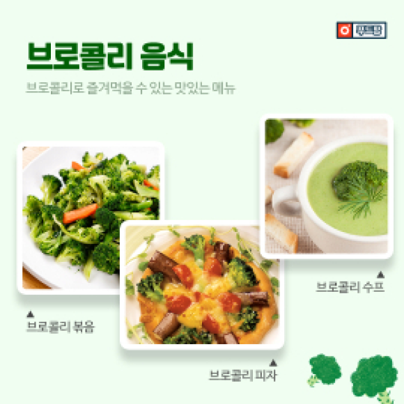 카드뉴스