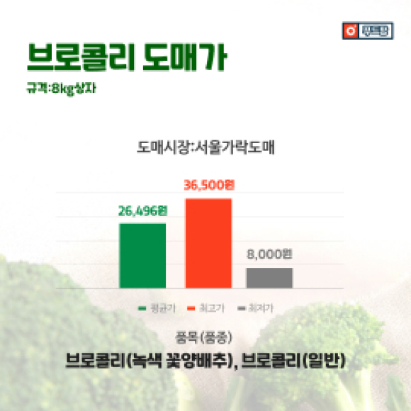 카드뉴스