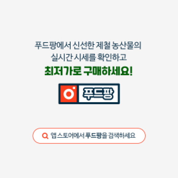 카드뉴스