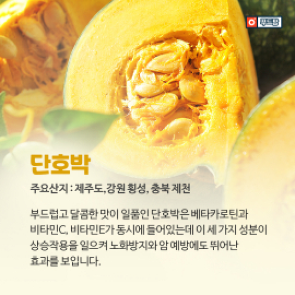 카드뉴스
