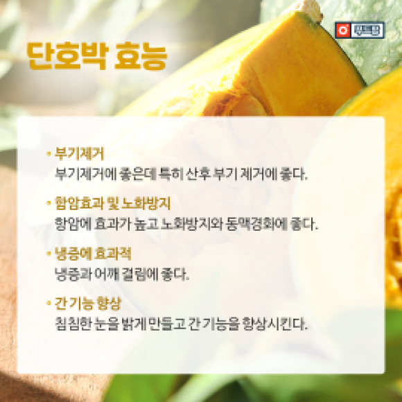 카드뉴스