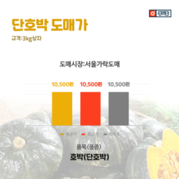 카드뉴스