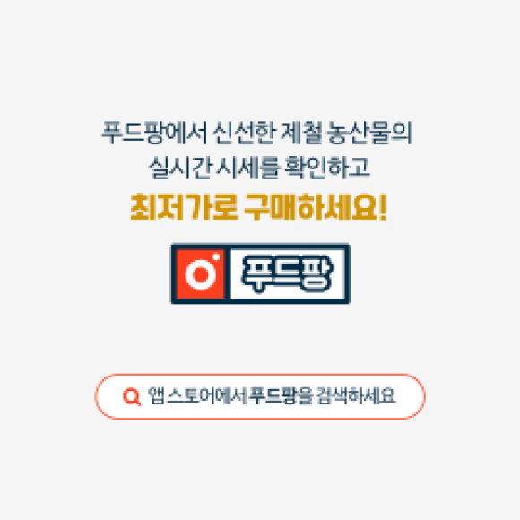 카드뉴스