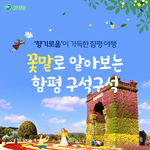 카드뉴스