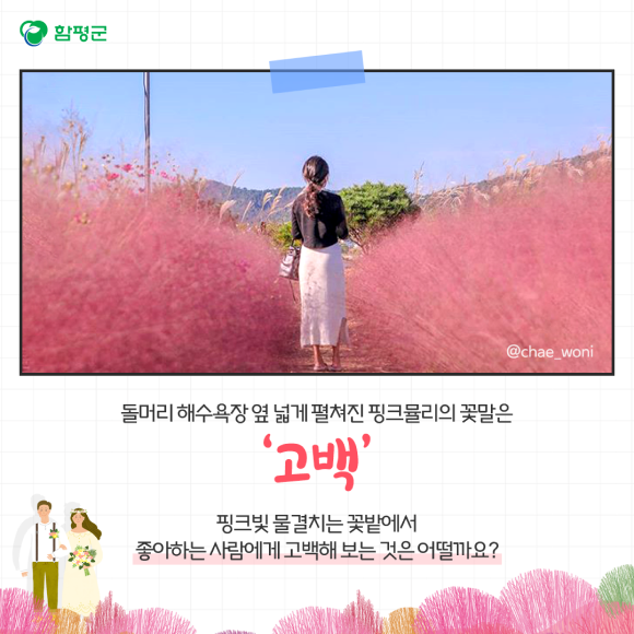 카드뉴스