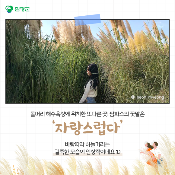 카드뉴스