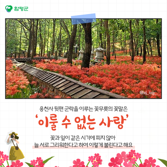 카드뉴스