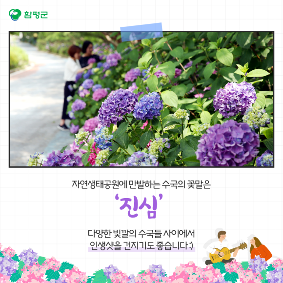 카드뉴스