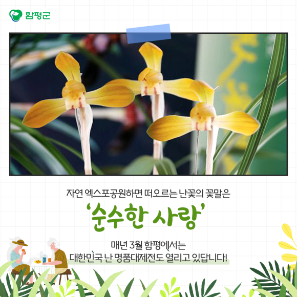 카드뉴스