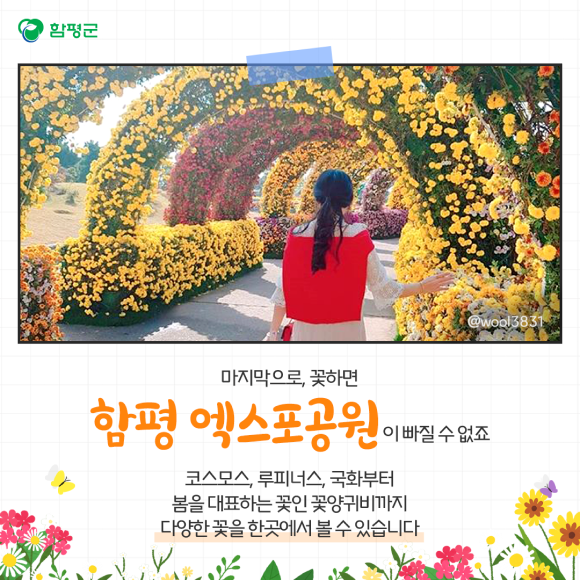 카드뉴스