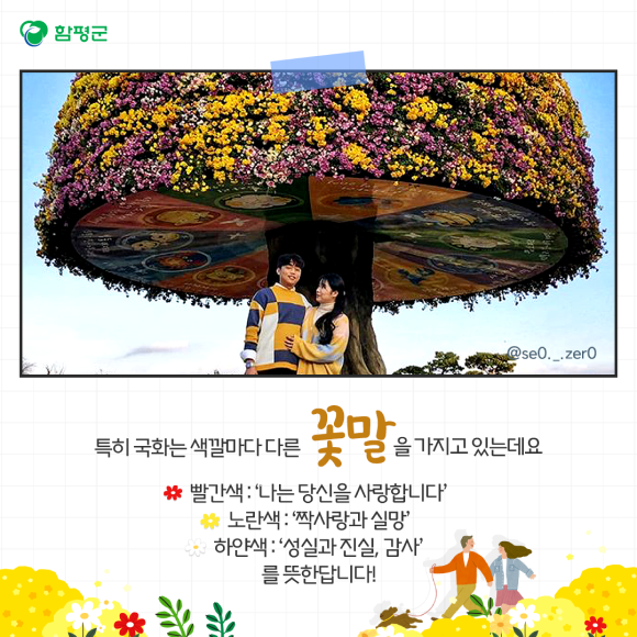 카드뉴스