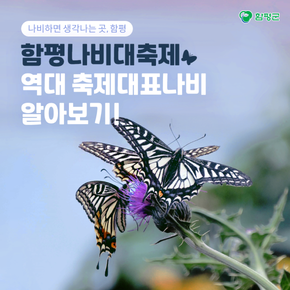 카드뉴스