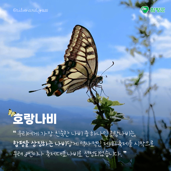 카드뉴스