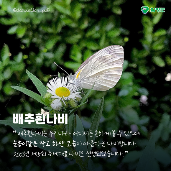 카드뉴스