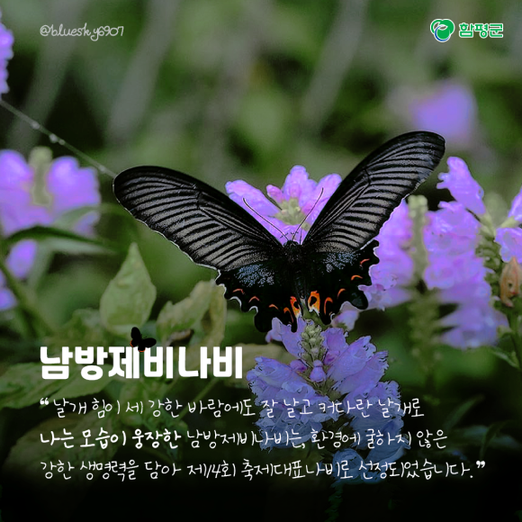 카드뉴스