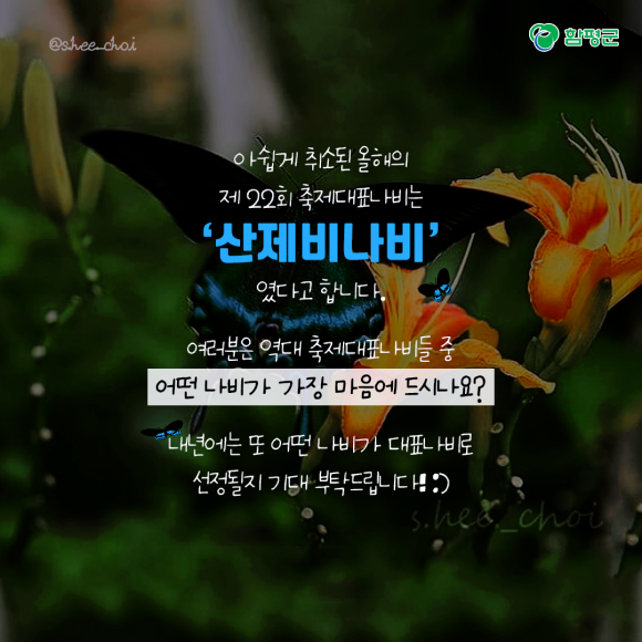카드뉴스