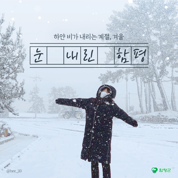 카드뉴스