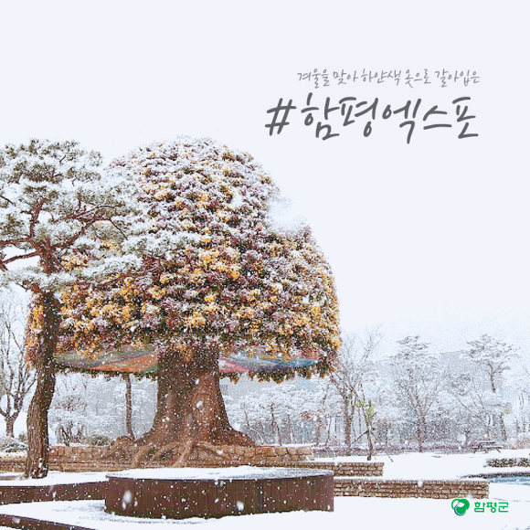카드뉴스