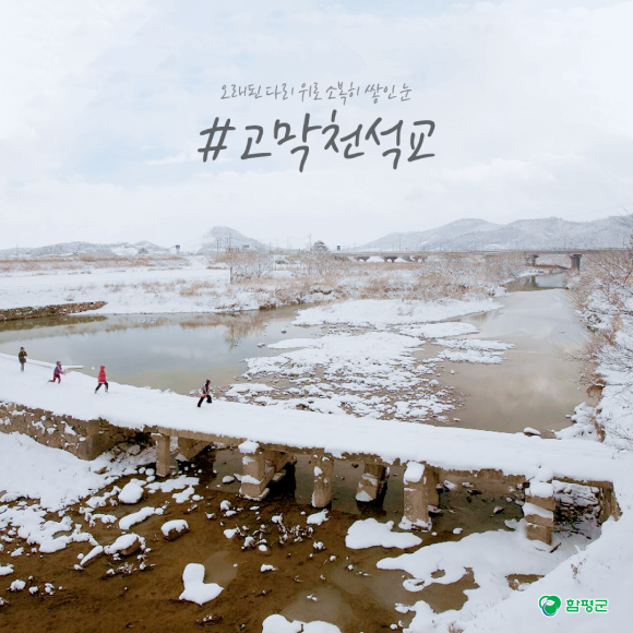 카드뉴스