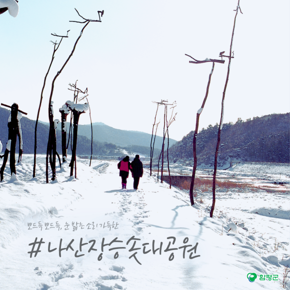 카드뉴스