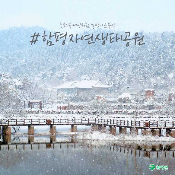 카드뉴스