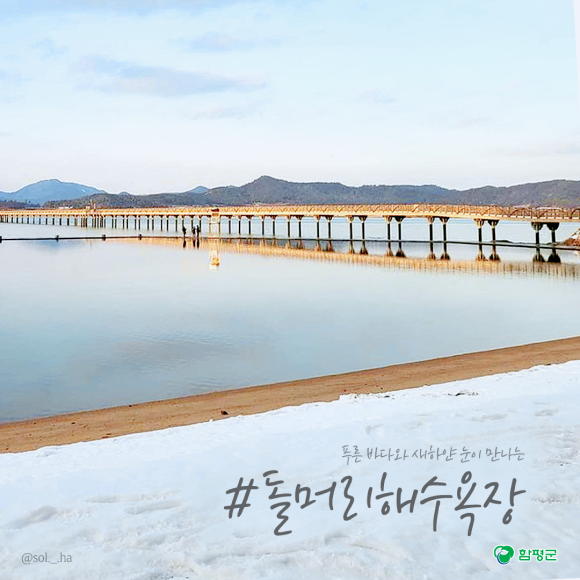 카드뉴스