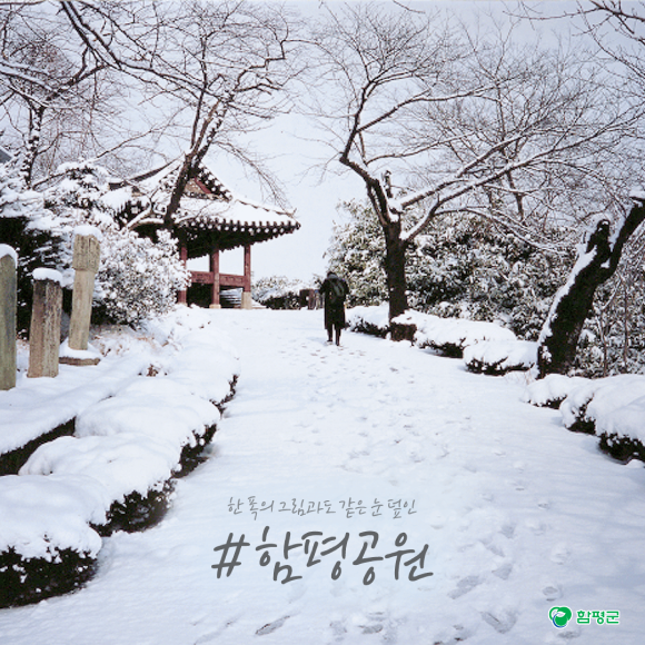 카드뉴스