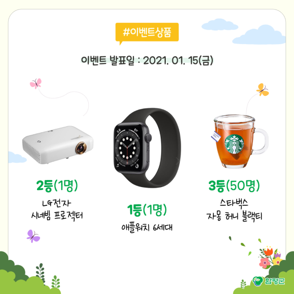 카드뉴스