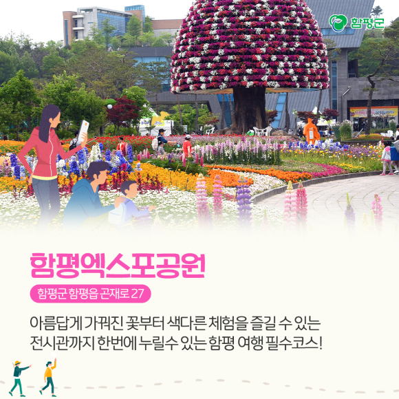 카드뉴스