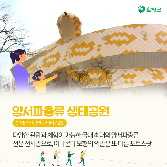 카드뉴스