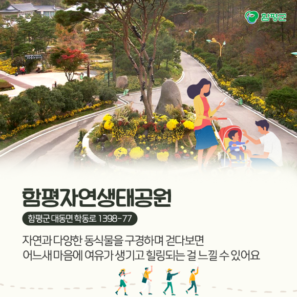 카드뉴스